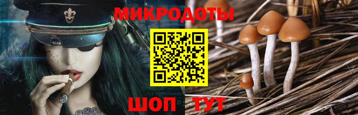 Галлюциногенные грибы Psilocybe Алушта