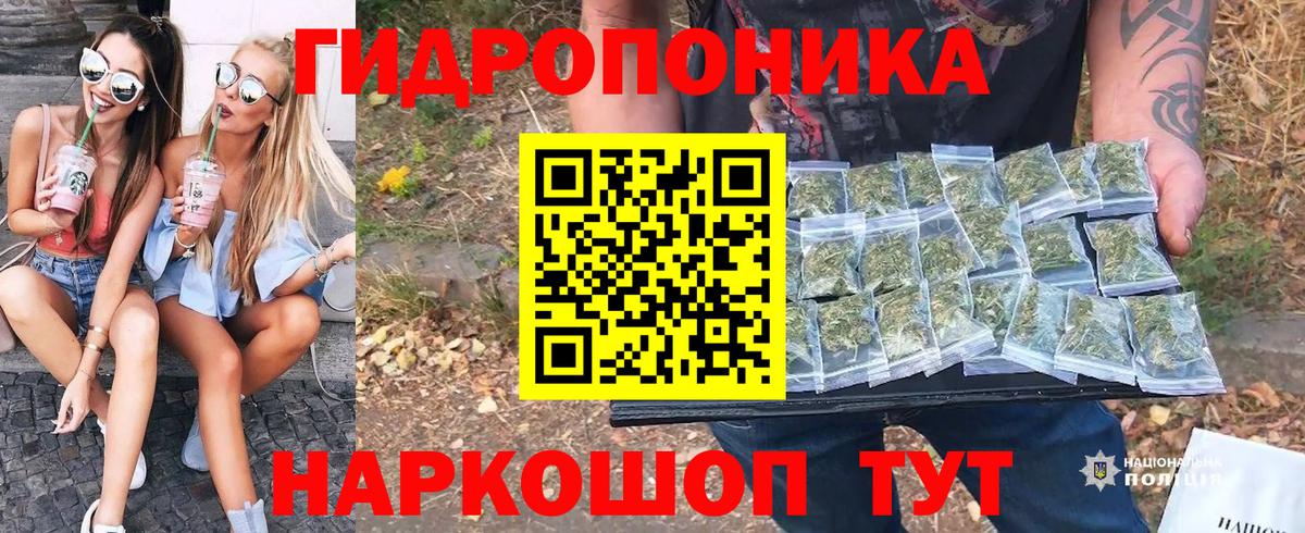 Каннабис сатива  Конопля SATIVA & INDICA  Конопля Amnesia  Алушта  Вход с VPN  Каннабис конопля 